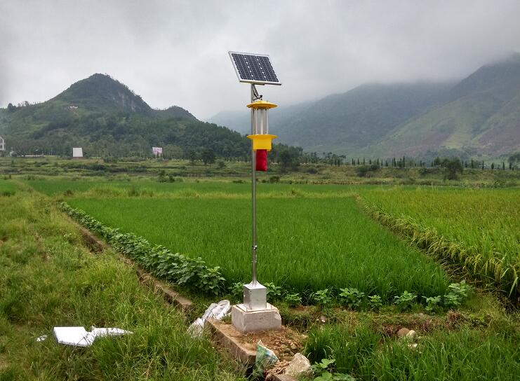 太阳能杀虫灯
