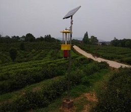 蔬菜太阳能杀虫灯
