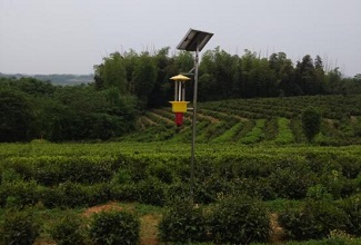 蔬菜太阳能杀虫灯