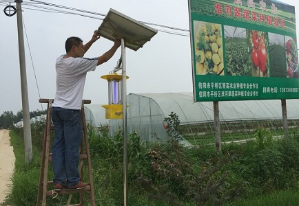云飞科技太阳能杀虫灯有助于发展绿色蔬菜