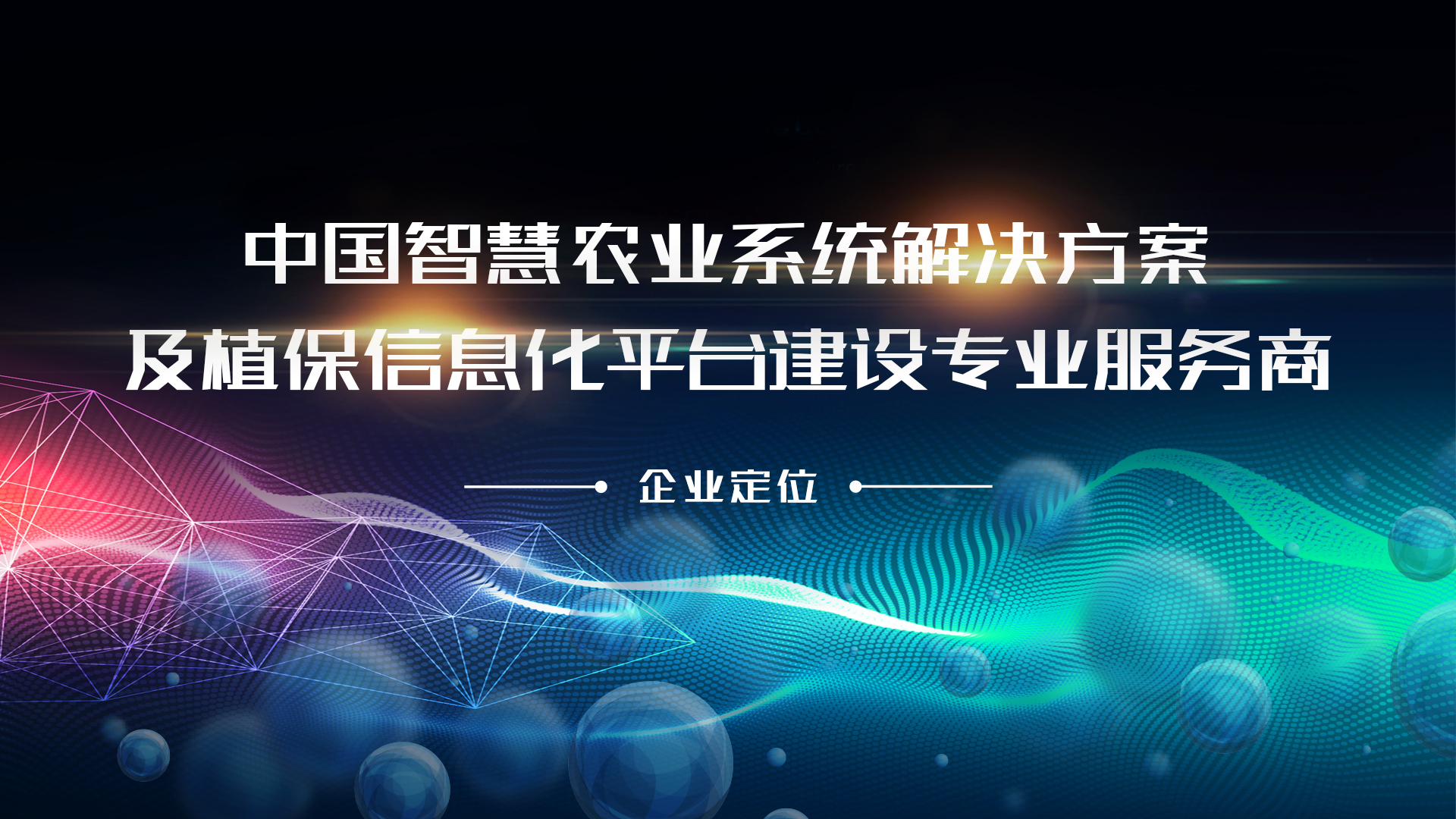 企业定位